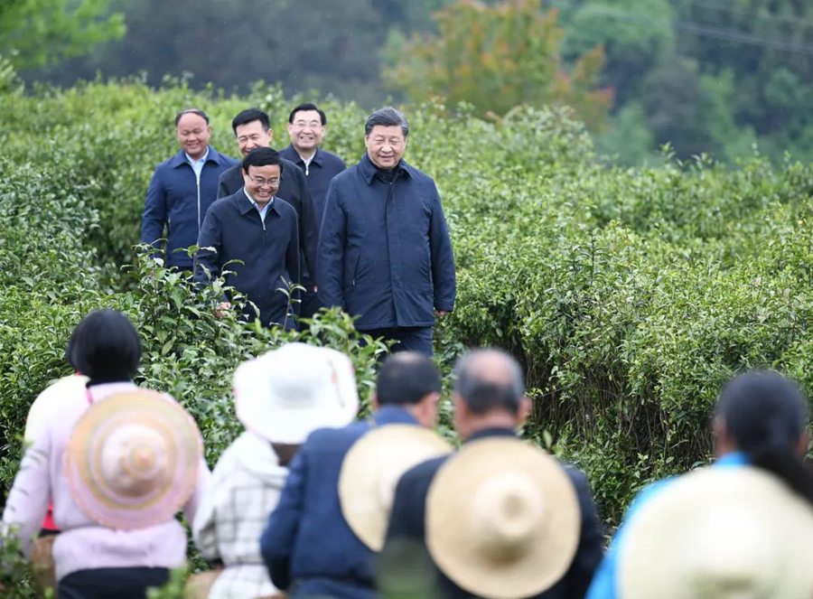 2020年4月21日,习近平来到陕西省安康市平利县老县镇,在茶园考察脱贫攻坚情况。